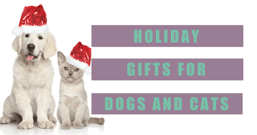 Best Holiday Gifts for Dogs & Cats