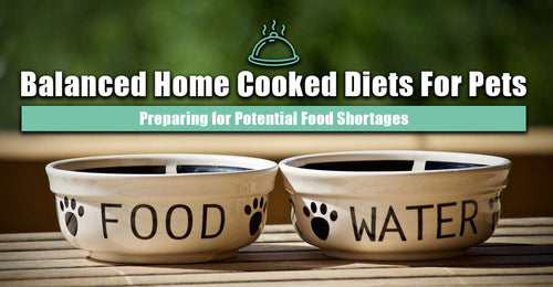 Balanced Home Cooked Diets for Pets: Be Prepared for Potential Food Shortages