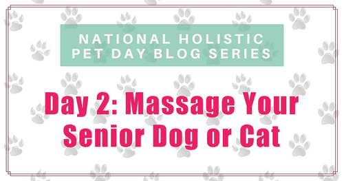 National Holistic Pet Care Day- Massage for Your Senior Dog or Cat