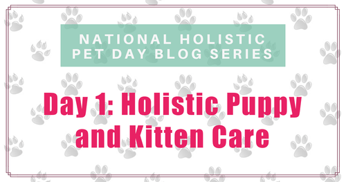National Holistic Pet Day - Holistic Puppy and Kitten Care