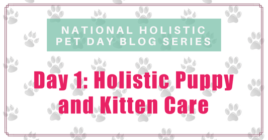 national holistic pet day holistic puppy and kitten care boulder holistic vet angie krause