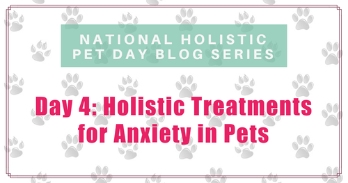 National Holistic Pet Day - Holistic Treatments for Anxiety in Pets