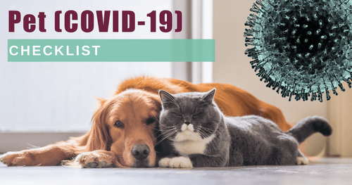 How to Prepare Your Pet for COVID-19