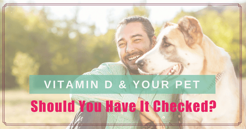 Vitamin D and Your Pet - Should you Have it Checked?