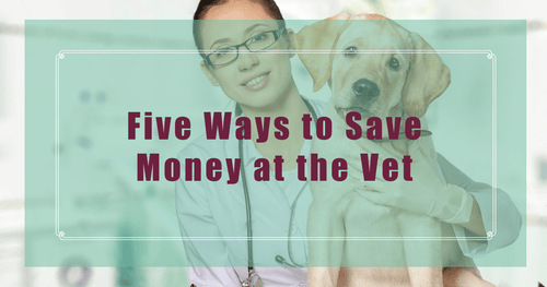 Ways to Save Money on Veterinary Bills!