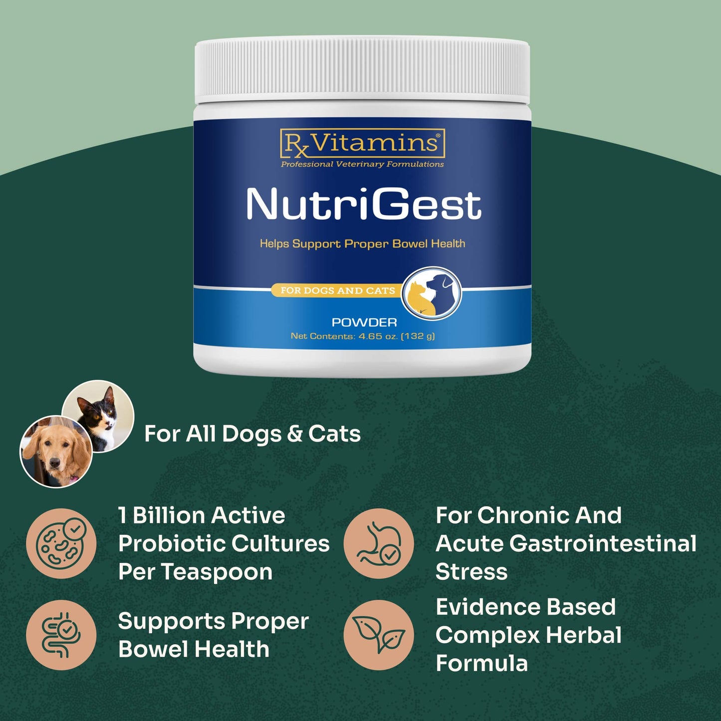 Nutrigest Powder