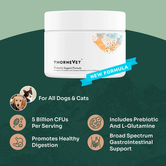 Probiotic Support Formula