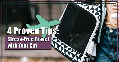 4 Proven Tips for Stress-Free Travel with your Cat