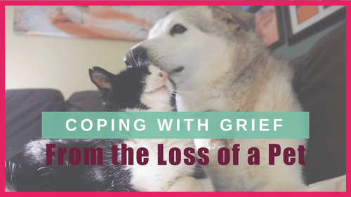 Coping With Grief from the Loss of a Pet
