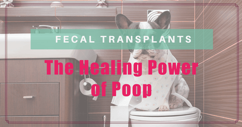 Fecal Transplants - The Healing Power of Poop