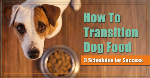 How To Transition Dog Food: 3 Schedules for Success