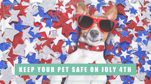 Keep Your Pet Safe on July 4th