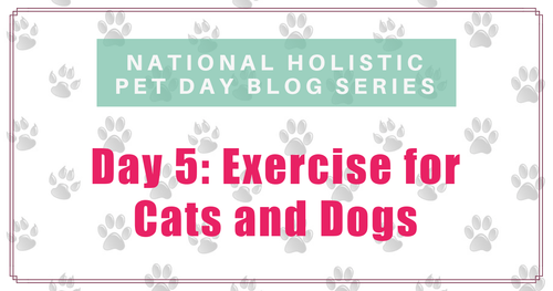 National Holistic Pet Day - Exercise for Cats and Dogs