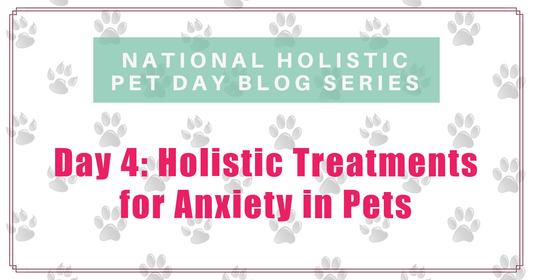national holistic pet day holistic treatments for anxiety in pets boulder holistic vet angie krause