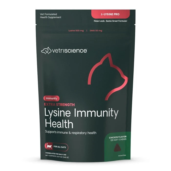 Lysine Immunity Health