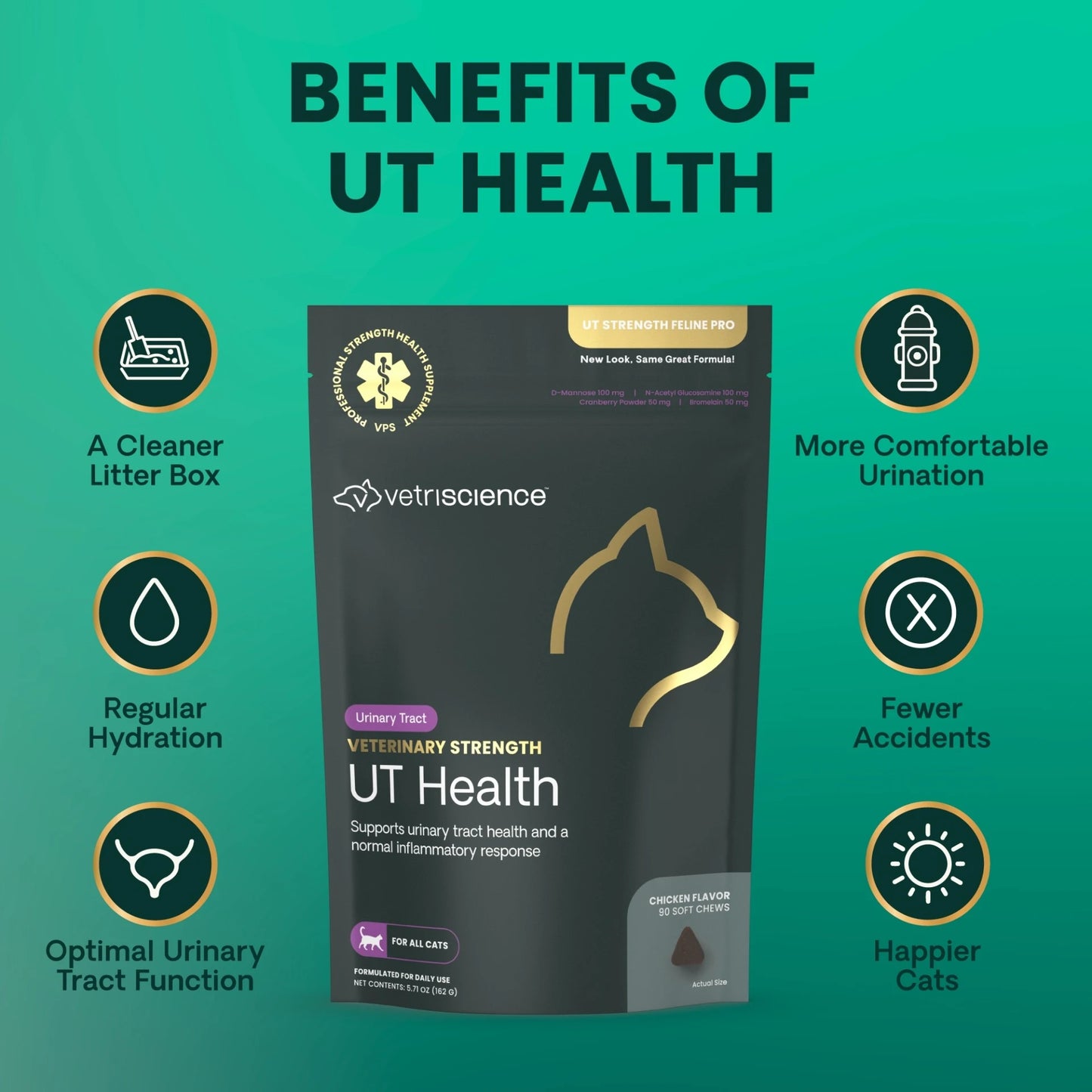 A product infographic for Vetriscience UT Health cat supplement. The central subject is a dark gray stand-up pouch with gold accents, surrounded by a teal background with the headline 'BENEFITS OF UT HEALTH' and six circular benefit icons with text around them.