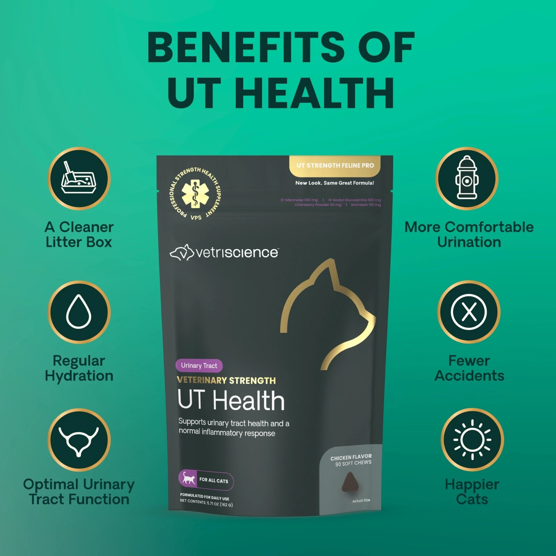 A product infographic for Vetriscience UT Health cat supplement. The central subject is a dark gray stand-up pouch with gold accents, surrounded by a teal background with the headline 'BENEFITS OF UT HEALTH' and six circular benefit icons with text around them.