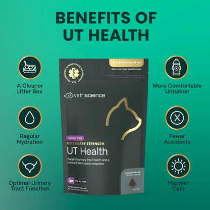A product infographic for Vetriscience UT Health cat supplement. The central subject is a dark gray stand-up pouch with gold accents, surrounded by a teal background with the headline 'BENEFITS OF UT HEALTH' and six circular benefit icons with text around them.