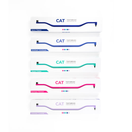 Best Designed Toothbrush for Cats