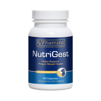 NutriGest Capsules