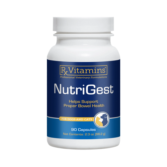 NutriGest Capsules