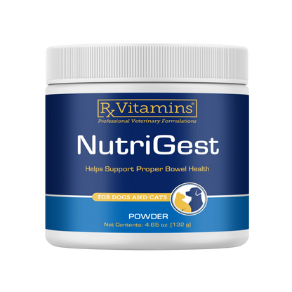 Nutrigest Powder