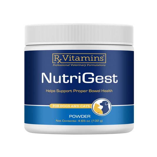 Nutrigest Powder