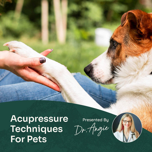 Course: At-Home Acupressure Techniques for Pets (Previously Recorded)
