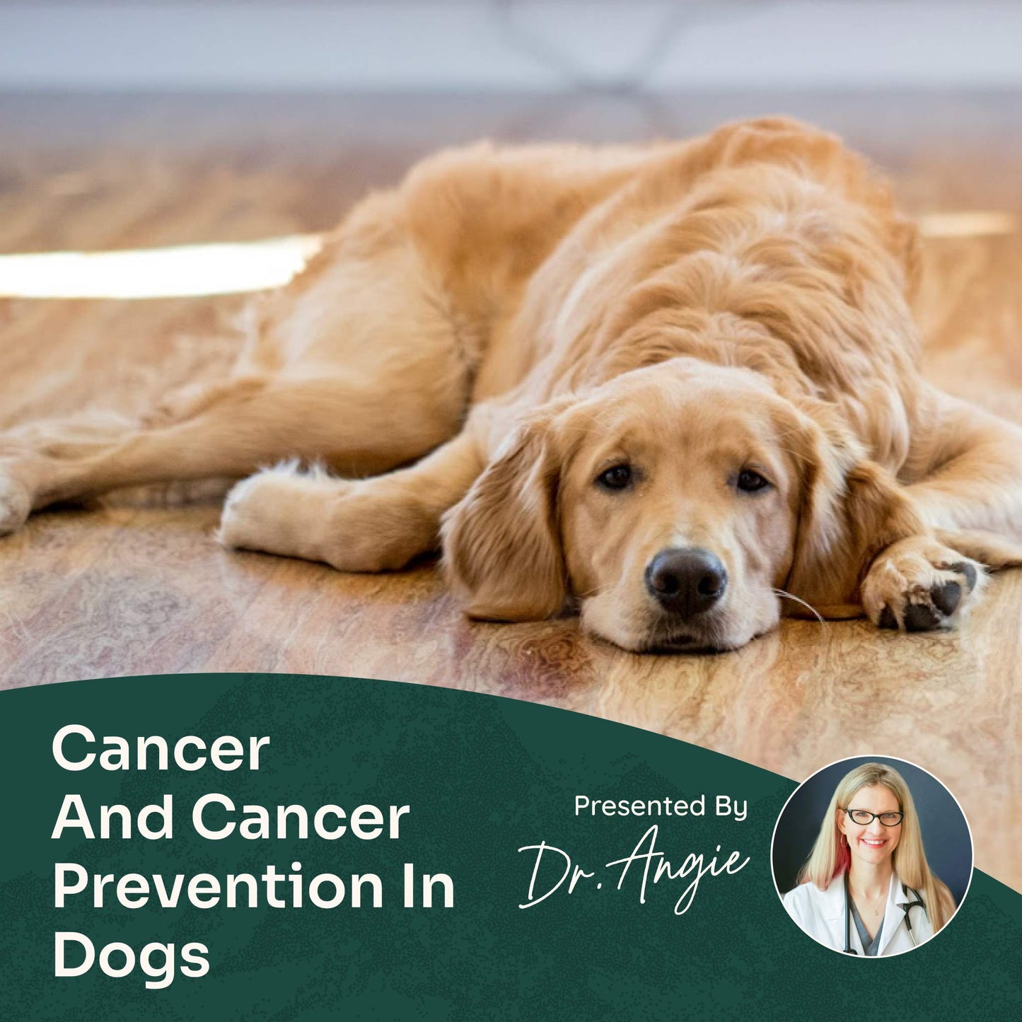Course: A Holistic Approach to Cancer and Cancer Prevention (Previously Recorded)