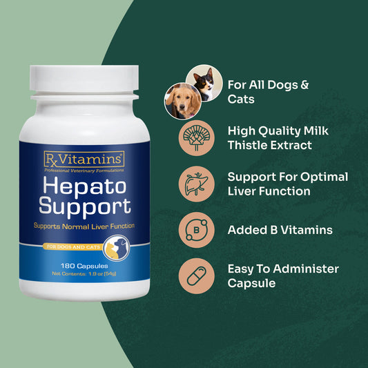 Hepato Support