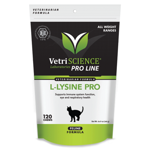 L-Lysine Pro
