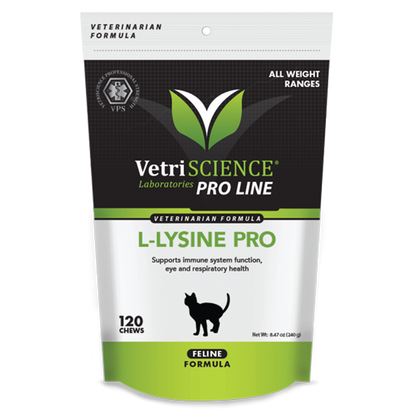 L-Lysine Pro