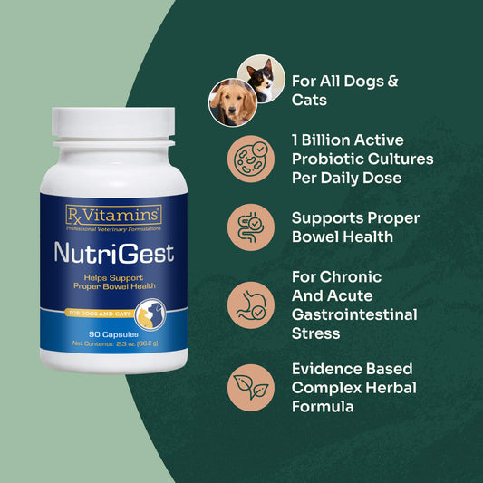 NutriGest Capsules
