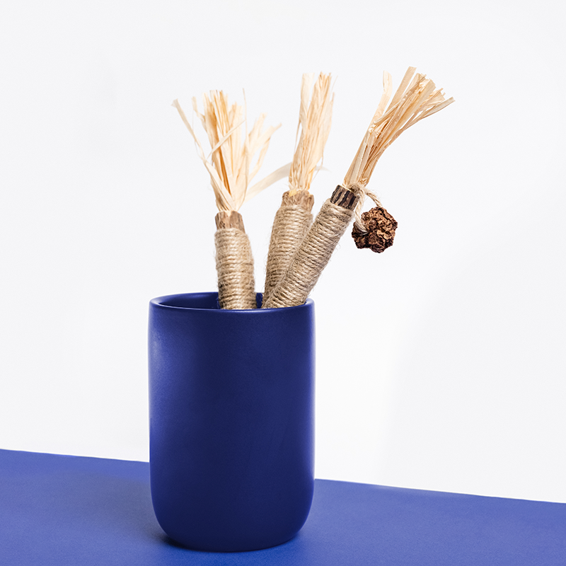 Silvervine Dental Sticks