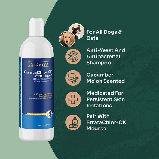 StrataChlor-CK Shampoo (8oz.)
