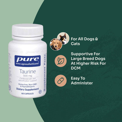 taurine l-carnitine supplement for dogs with & CoQ10 Carnicare DuoMax | L-Carnitine &