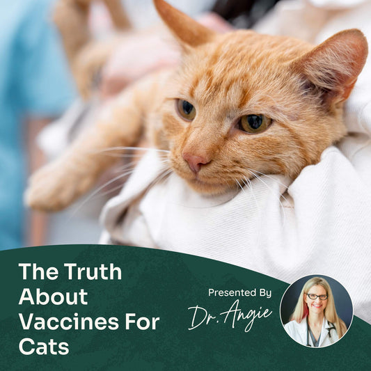 Course: The Truth About Vaccines for Cats (Previously Recorded)