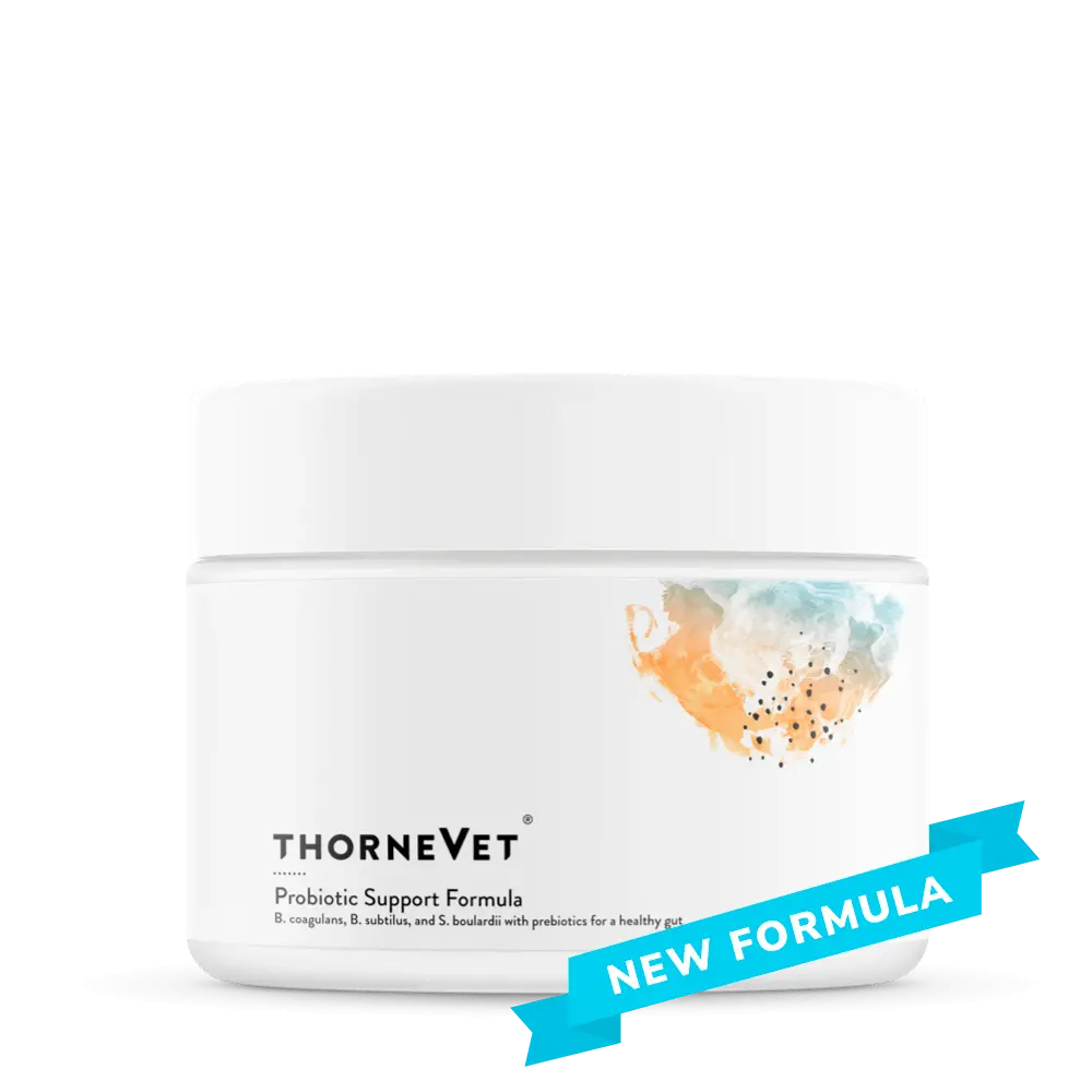Probiotic Support Formula