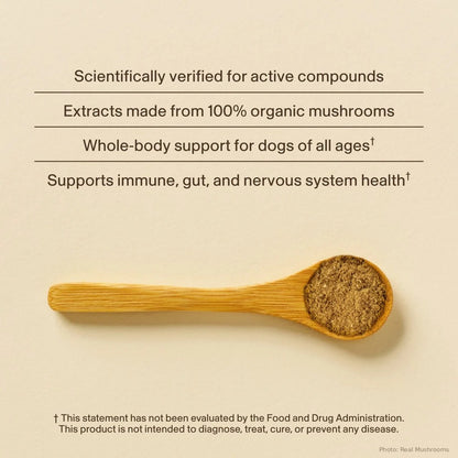Wooden spoon with mushroom powder on a beige background with text about mushroom extracts for dogs.