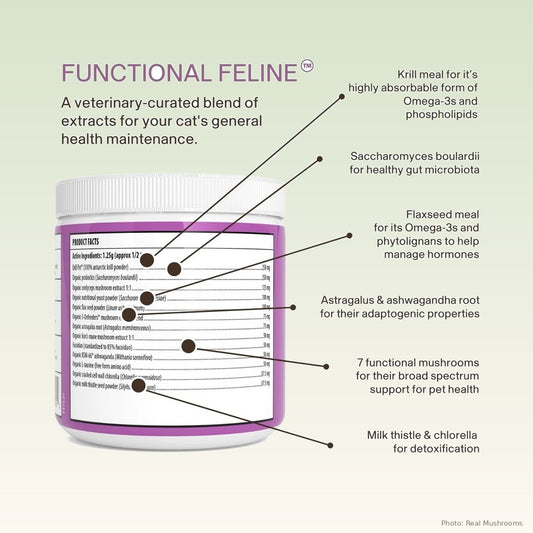 A white supplement jar with a purple label for Functional Feline cat health maintenance, shown on a pale green background with callout lines and text listing ingredients and benefits.