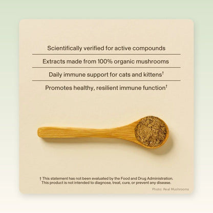 A beige informational card with text about mushroom extracts for cats and kittens, featuring a wooden spoon filled with brown powder on a soft green gradient background.