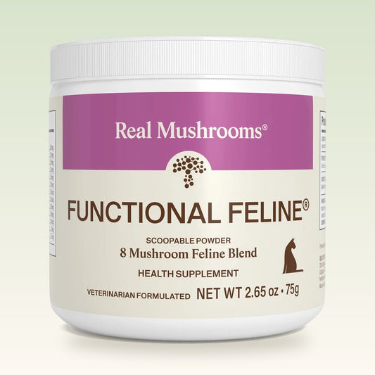 A white plastic tub of Real Mushrooms Functional Feline health supplement powder, featuring a purple and cream label with brown text, set against a light green gradient background.