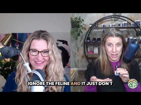 Holistic Vet helps you choose the best CBD for your dog or cat