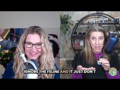 Holistic Vet helps you choose the best CBD for your dog or cat