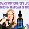 Dr Angie Krause, holistic veterinarian, HempRx Organic CBD oil for dogs and cats