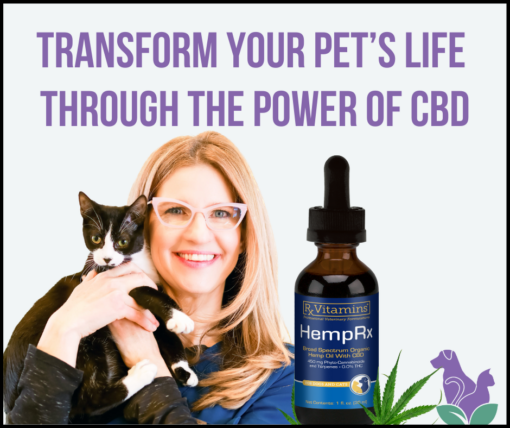 Dr Angie Krause, holistic veterinarian, HempRx Organic CBD oil for dogs and cats