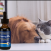 HempRx Organic CBD oil for dogs and cats.
