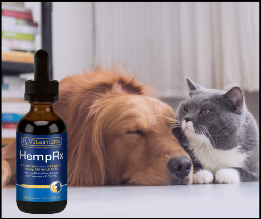 HempRx Organic CBD oil for dogs and cats.