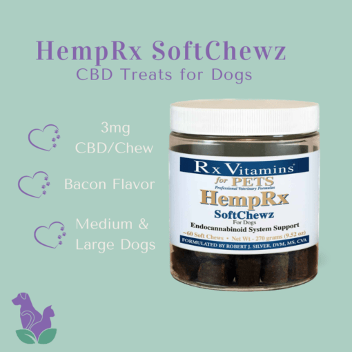 HempRx SoftChewz is a jar of cbd soft chews for dogs made by RxVitamins. 3mg CBD/Chew, Bacon Flavor, Medium and Large dogs.