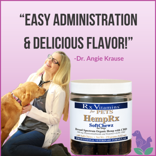 Dr. Angie Krause, holistic veterinarian, with jar of HempRx Dog Chewz easy administration CBD treats for dogs